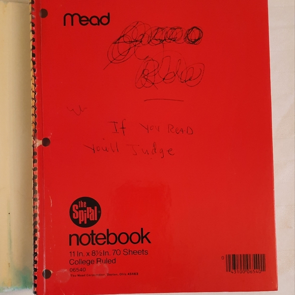 Kurt Cobain Journals First Edition Hard Cover Autobiography - Picture 8 of 10